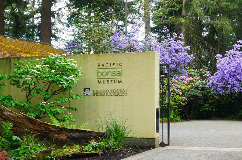 Rhododendron Species Botanical Garden, United States